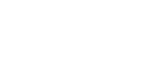 dvs.net IT-Service GmbH Logo