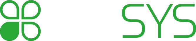KLESYS Consulting GmbH Logo