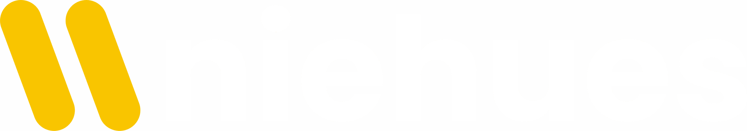 Niehues Consulting Logo