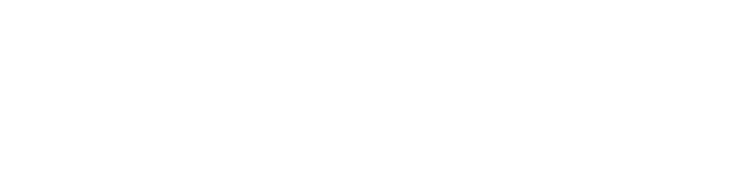 Train Consult Peter Gross Logo